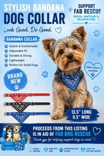 (S1)   NEW * Small Pet Dog Cat Collar with attached  Bandana BLUE 
