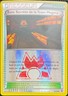 2015 POKEMON FRENCH SECRET BASE TEAM MAGMA REVERSE HOLO #32/34