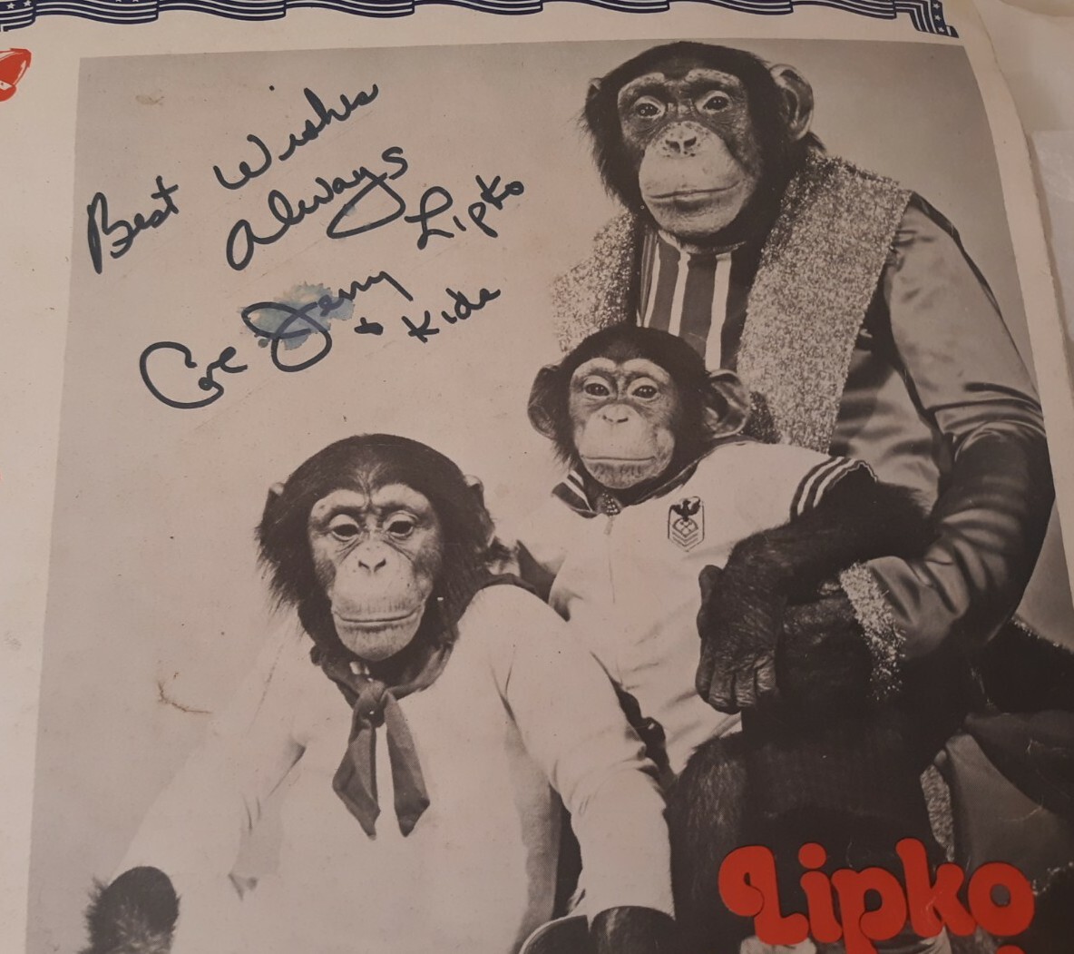 Vtg Jerry Lipko Comedy Chimps Bicentennial 1776-1976