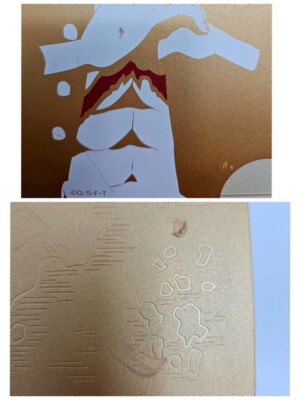 PS3 Console 320G One Piece Pirate Warriors Gold Edition 2211 Japan