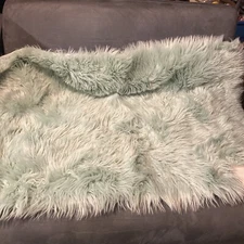 Home wear Plush Shag Rug in Green 30"X46" New