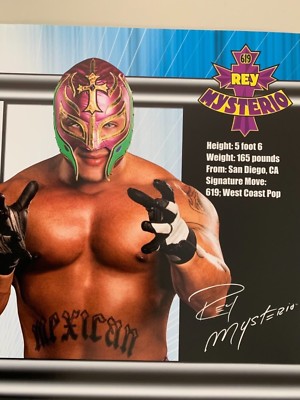 WORLD WRESTLING,SMACK DOWN SUPERSTARS,OFFICIAL LICENSED 2006