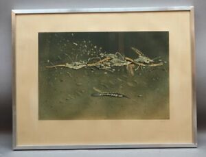 Takashi ASADA (*1928 Japan) - Blätterwerk neorealistisch - Farbradierung