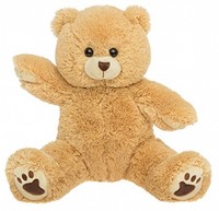 Personal Recordable Plush 15' Talking Teddy Bear Personal Recordable Plush 15' Talking Teddy Bear