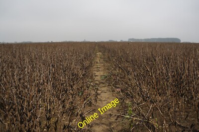 Photo 6x4 Footpath leading to Holton le Clay  c2014