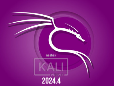 Kali Linux Purple 2024.4 Bootable USB Flash Drive