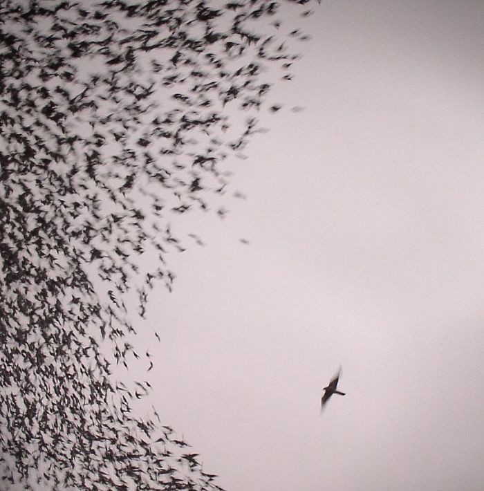 WILCO - Sky Blue Sky - Vinyl (gatefold 2xLP)