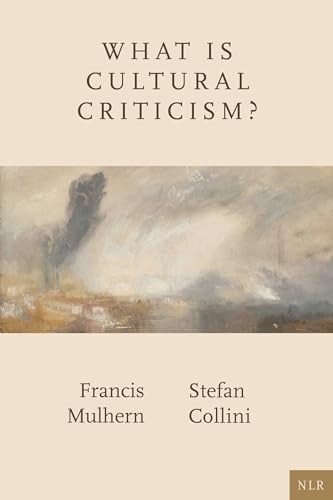 What Is Cultural Criticism?, Mulhern, Collini Free Shipping^* - Image 3