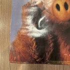 Official Alf Fan Club Poster 16 X 20 RARE Alien Life Form 1988 — photo 4