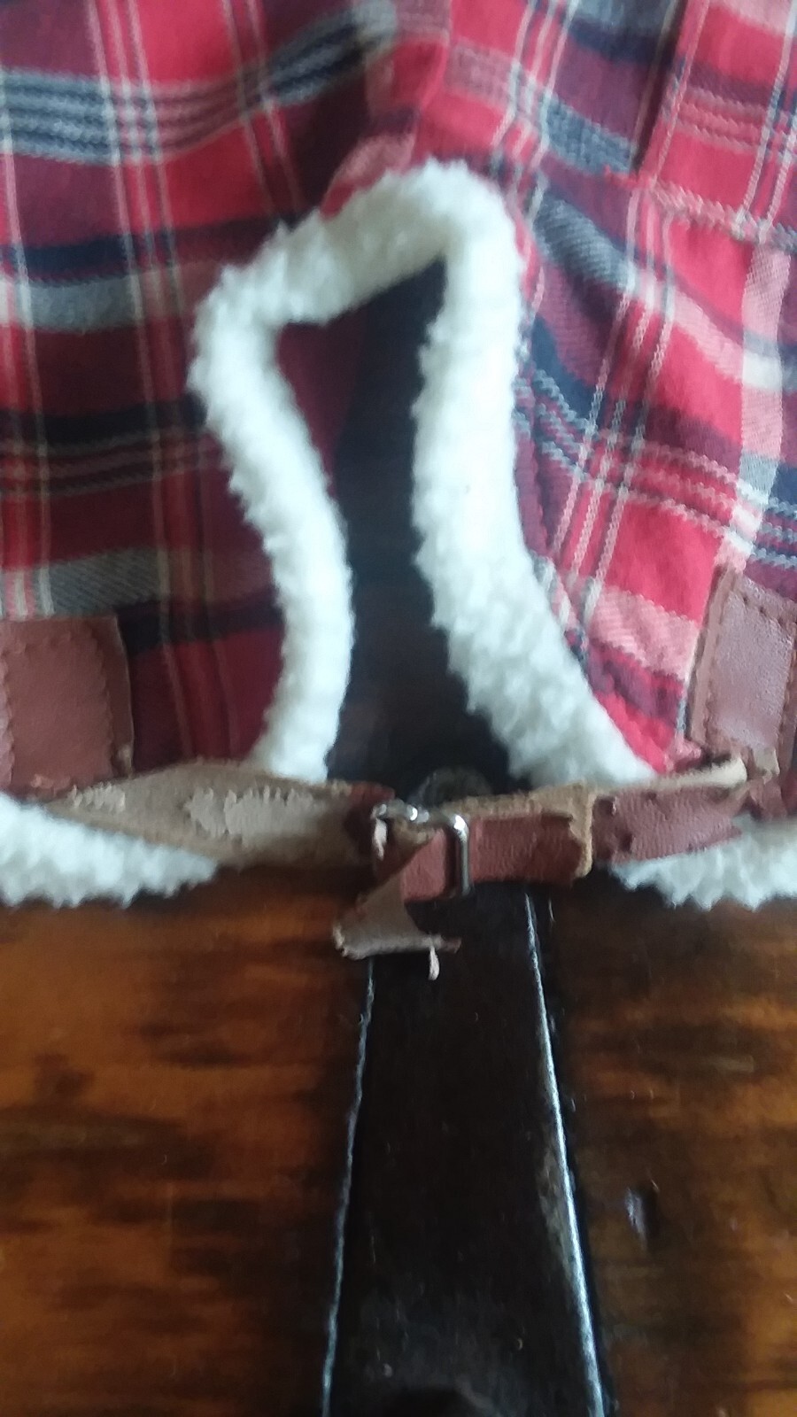 Picture 5 of 5