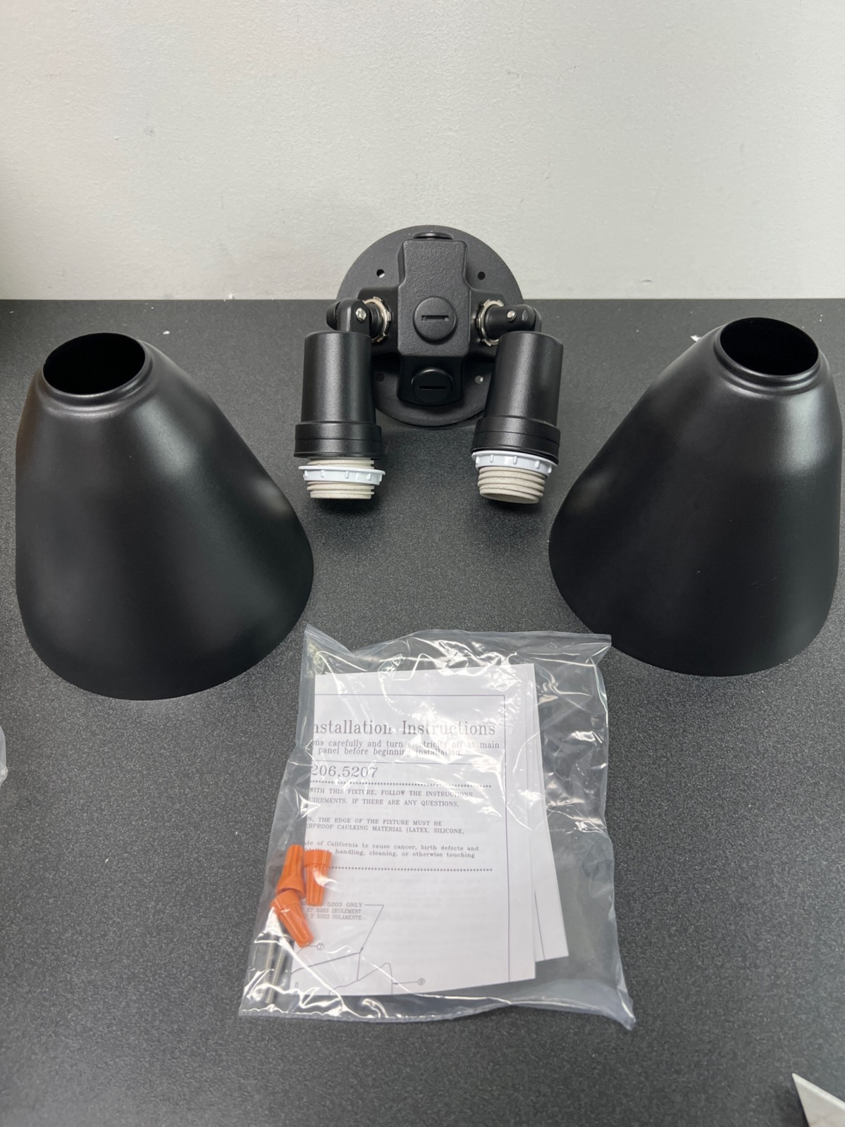 Progress Lighting 2 Light Dual Head Flood Light Metal Adjustable Shades Black