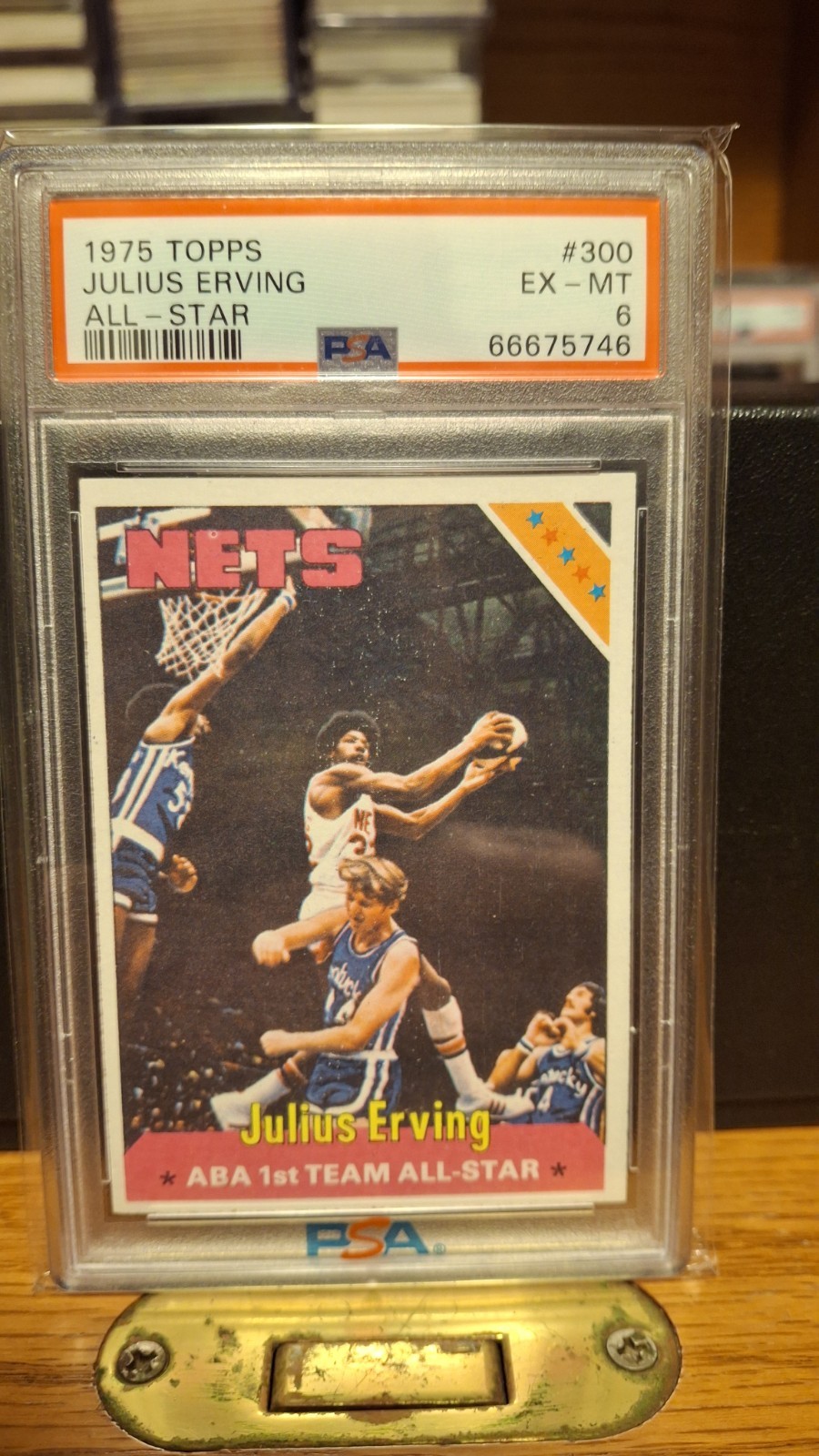 1975-76 Topps - Julius Erving #300
