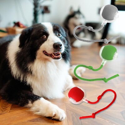 Electric Smart Interactive Rolling Dog Ball, Teasing Cat Ball Dog Pets Toys Ball