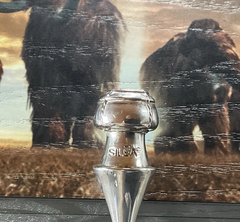 Silea plateado guardián de burbujas tapón de vino champán efervescencia Francia uvas en muy buena condición Foto 2 de 4