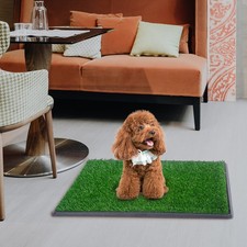 30 20in Pet Potty Puppy Dog Training Pee Pad Mat Tray Grass House Toilet W/tray
