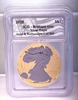 2025 Silver Eagle 1 Oz ICG Brilliant Unc Gold and Ruthenium Edition 1 of 500