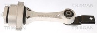 Triscan Lagerung, Motor Hinten, Rechts, Unten U.A. FüR Audi, Seat, Skoda, VW