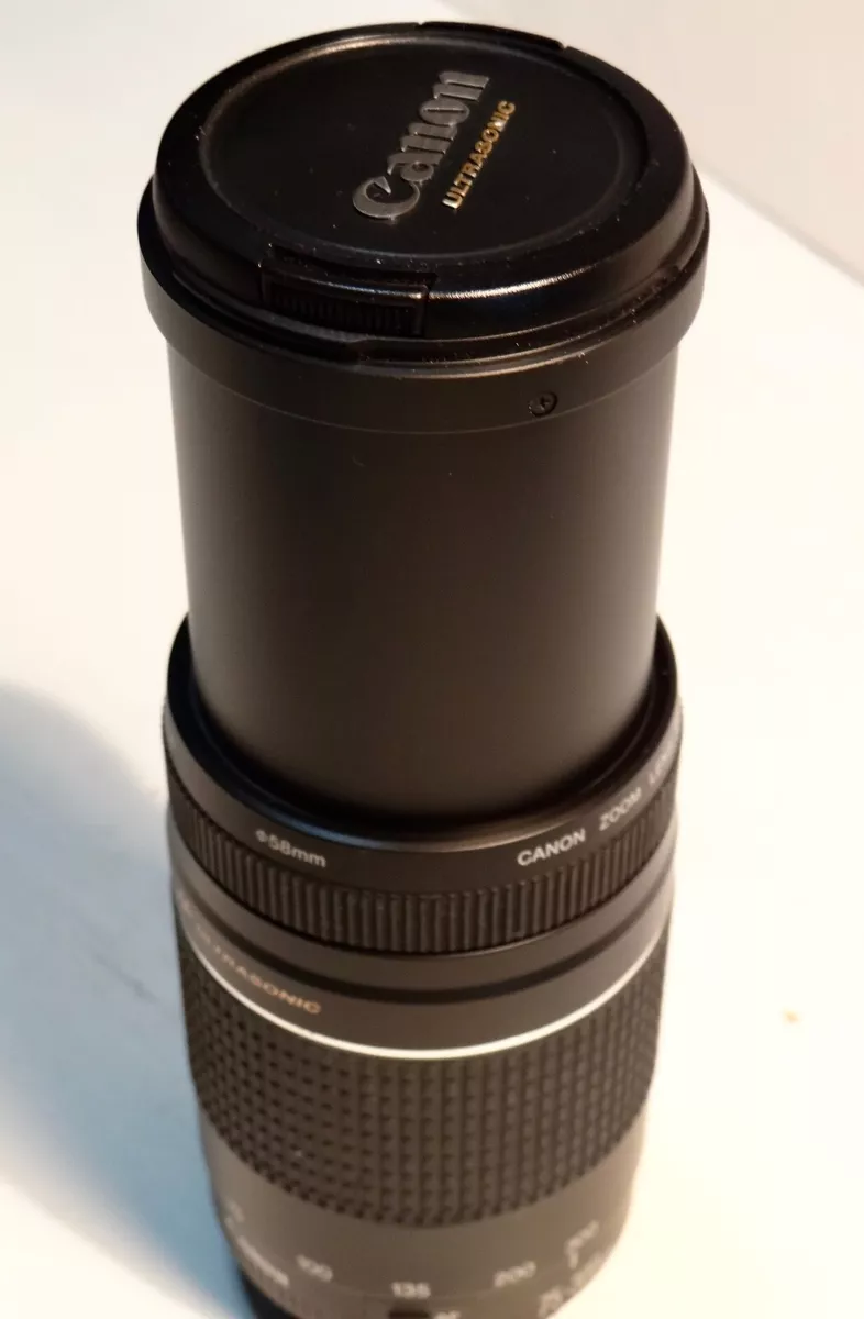 Canon EF 75-300mm f/4-5.6 III USM Telephoto Zoom Lens for Canon