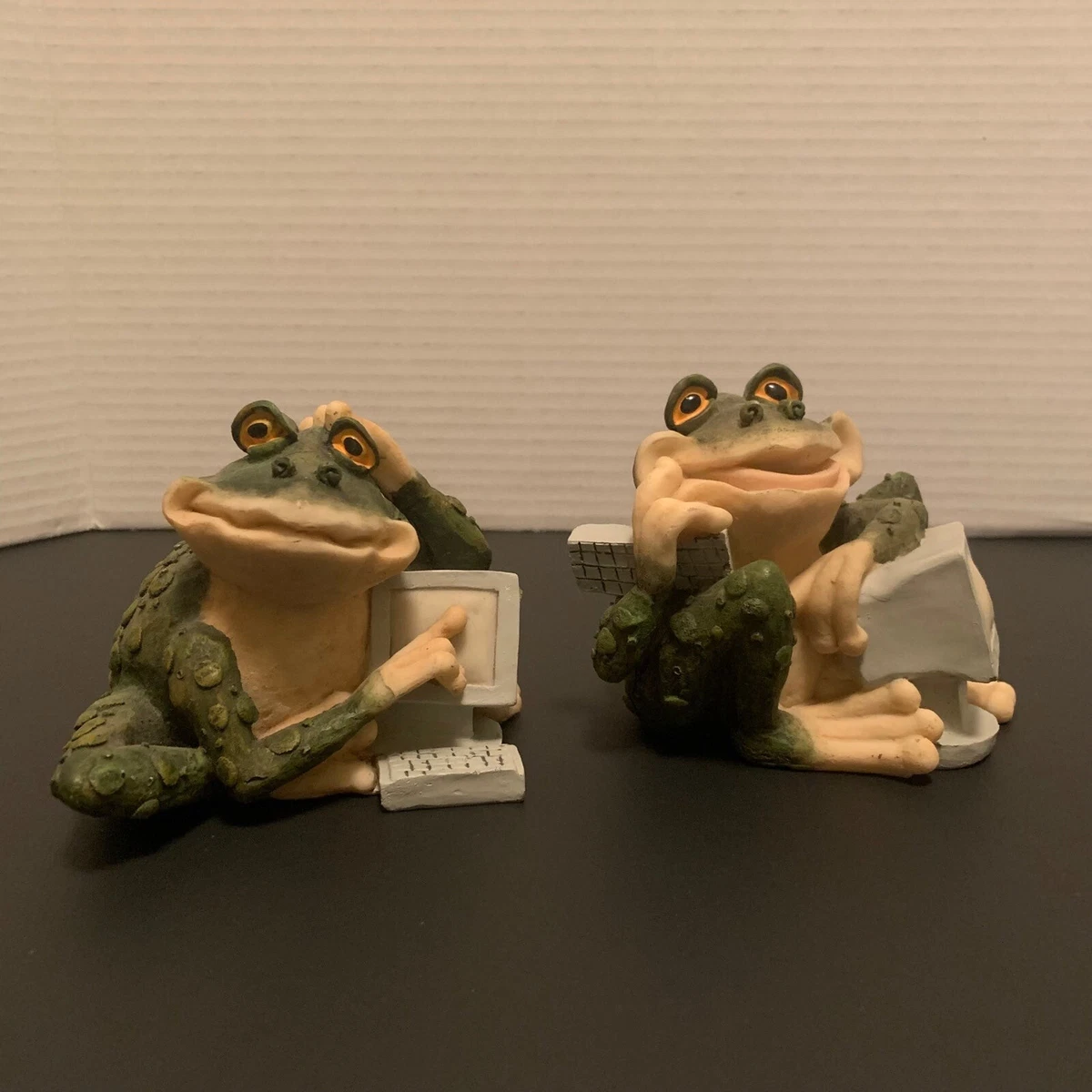 frog models with computers