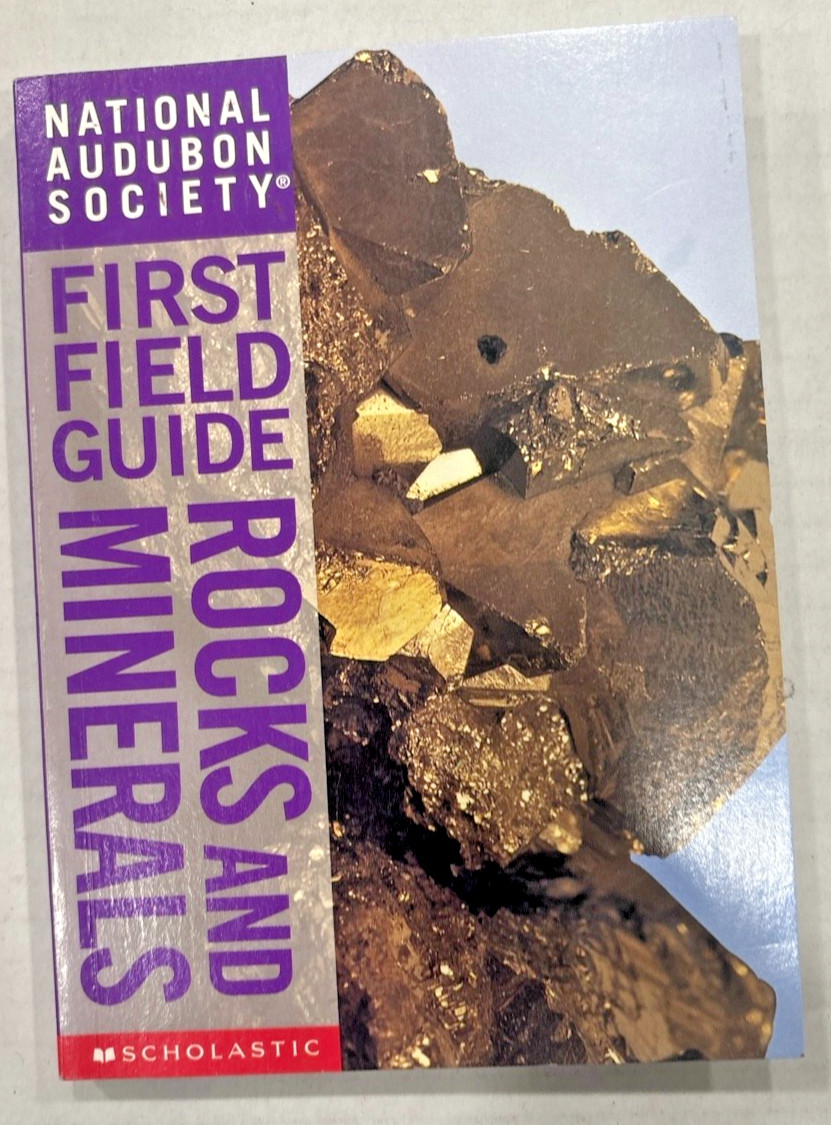 Audubon First Field Guide Rocks and Minerals Ricciuti Scholastic 1998