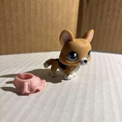 AUTHENTIC LPS #639 LPS Corgi White Blk And Tan With Blue Eye/Pink Skirt