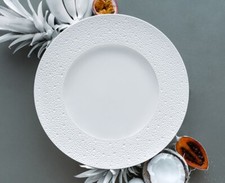 Bernardaud Ecume bread , canape Plate. 6.5