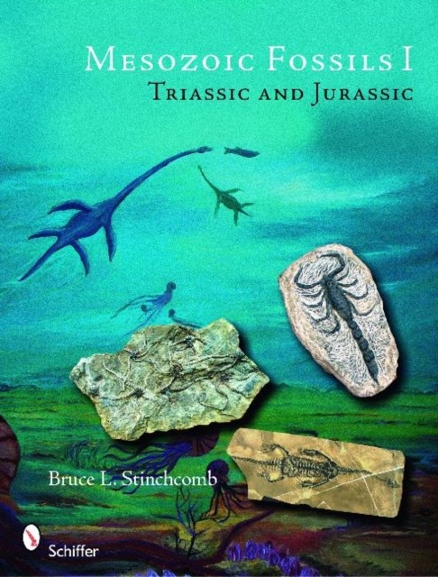 Mesozoic Fossils Triassic and Jurassic by Bruce L. Stinchcomb PAPERBACK