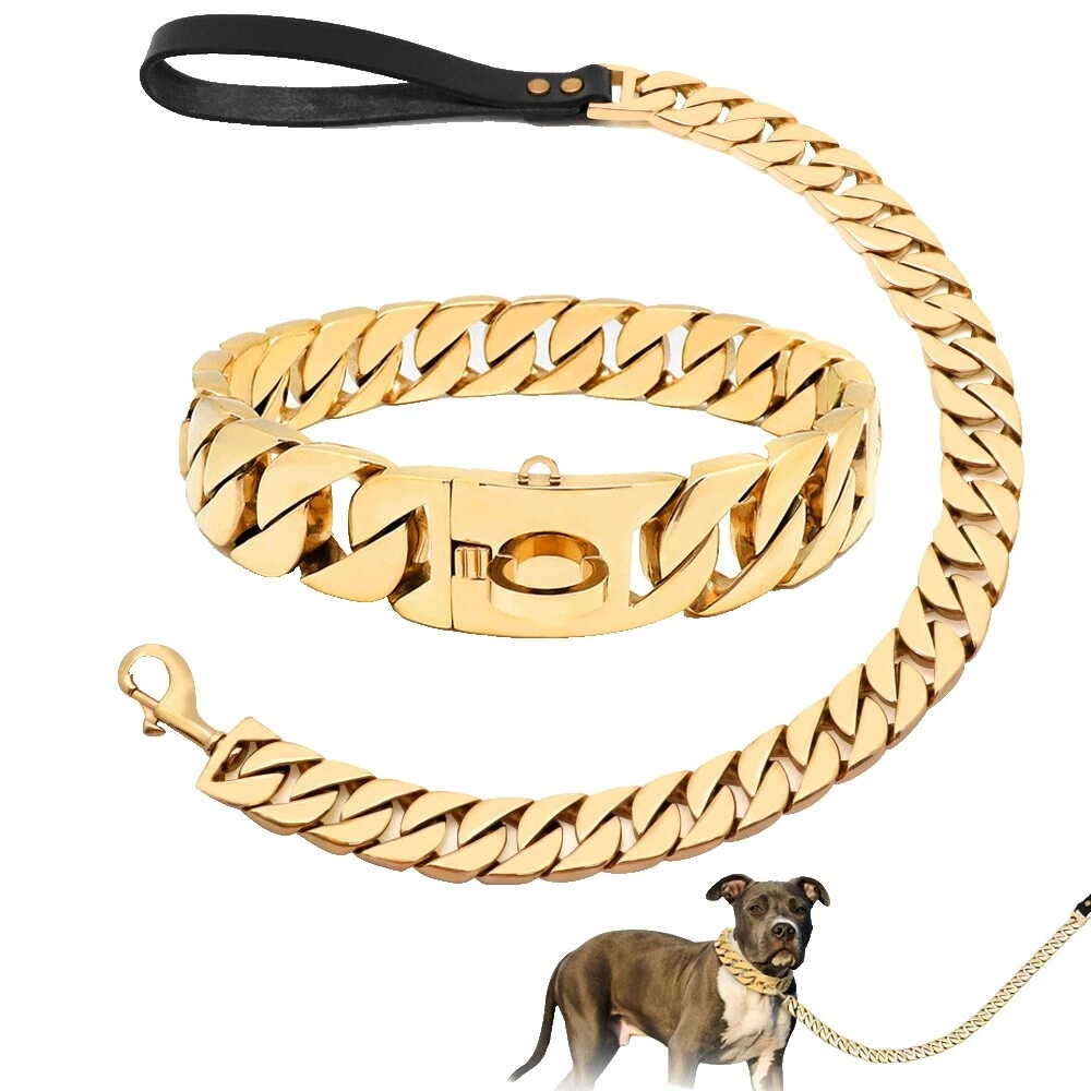 M Cuello de combinación y Collares para perro de plomo