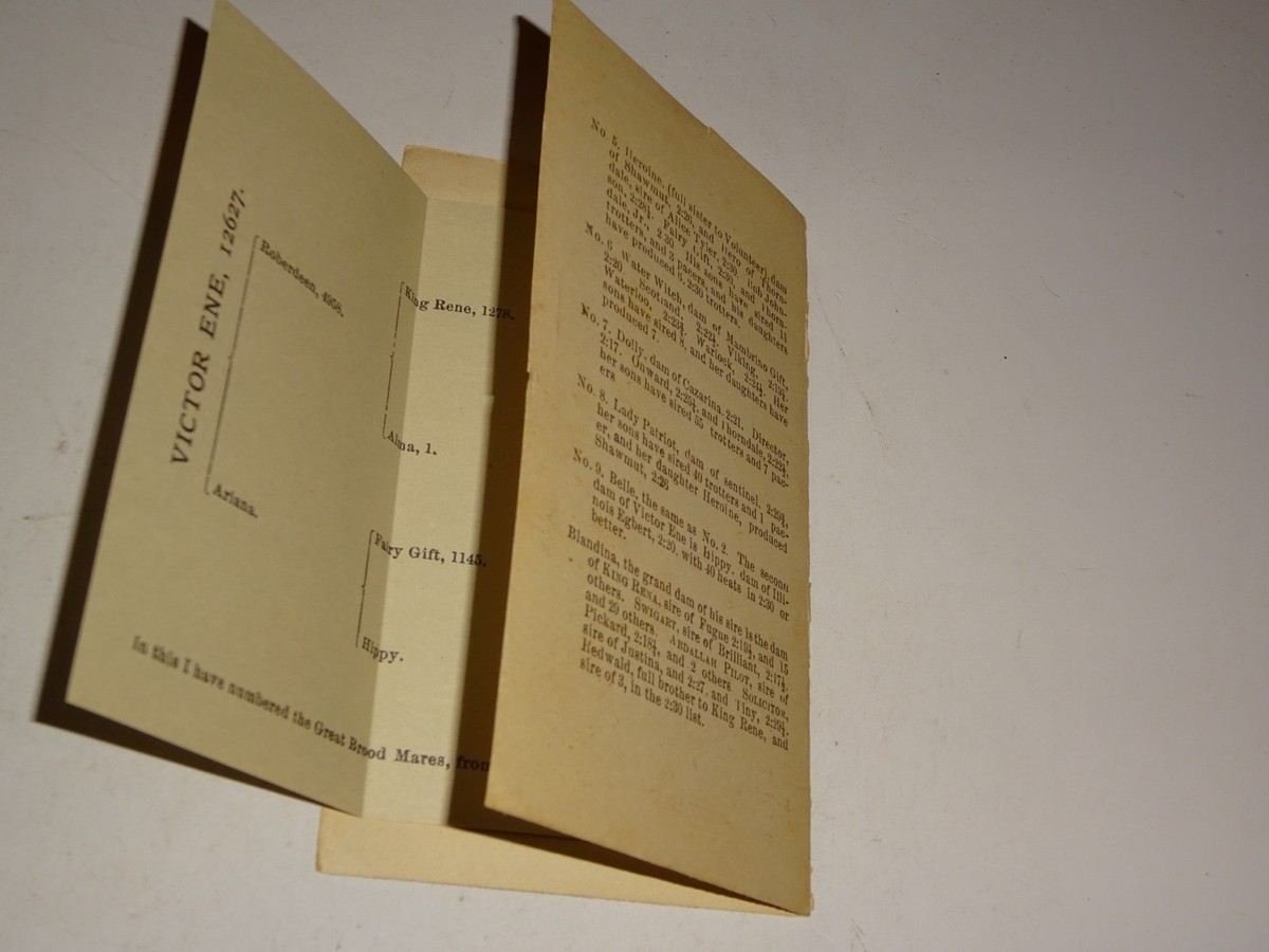 Vintage Horse Pedigree Victor Ene 12627 from Blue Bull Stock Farm Pierce  City MO | eBay Australia