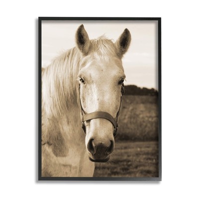 Rustic Sepia Tone Portrait of White Horse, Designed by Suzanne Foschino Black...