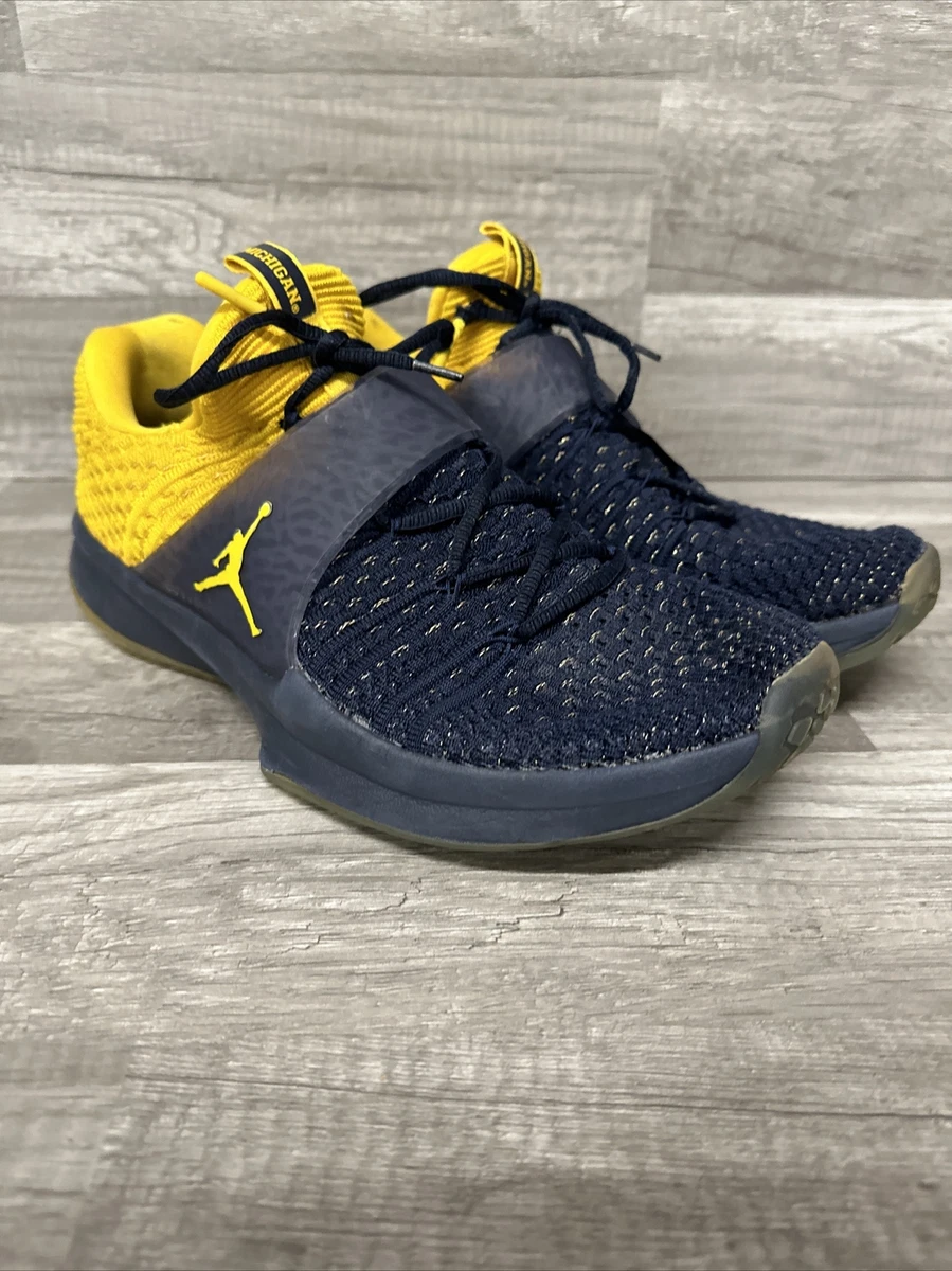 Jordan trainer sales 2 flyknit michigan