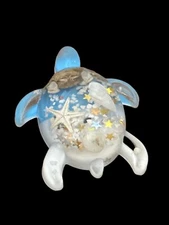 Magnet- TURTLE- Sea Life - Crab Shells- starfish- blue white