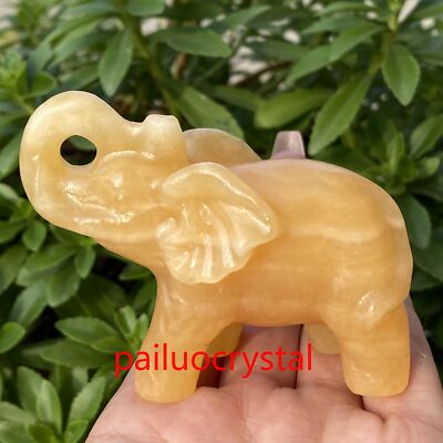 1pc Natural Geode Elephant Skull Quartz Crystal Skull Carved Figurines Gem 3.5''