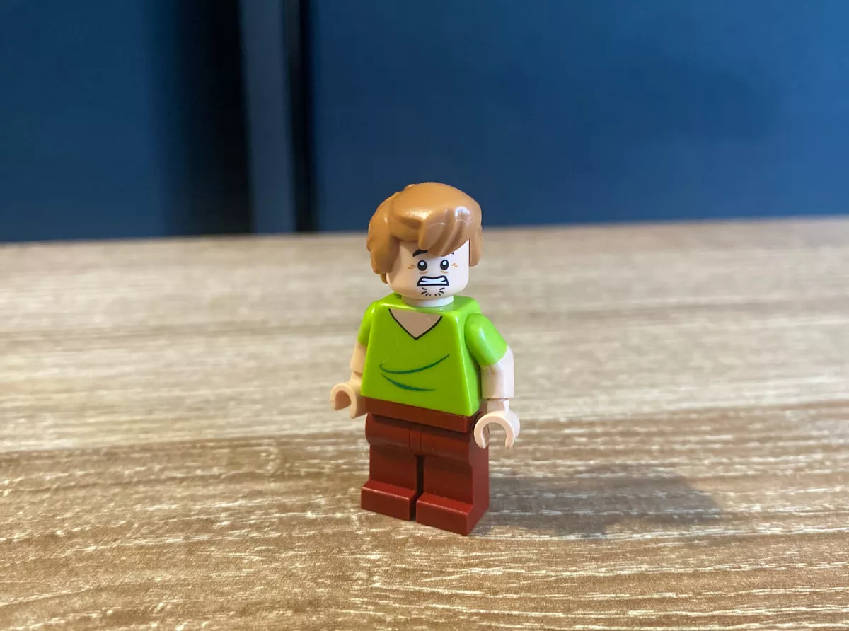 LEGO Shaggy Minifigure Scooby Doo 75900 75901 eBay