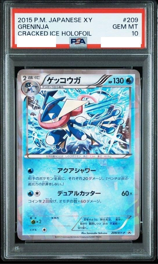 PSA10 Pokemon Card Greninja Cracked Ice HoloFoil 2015 209 Japanese