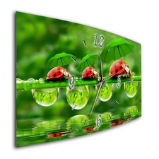 BM Wanduhr 50 cm x 25 cm leises Uhrwerk Funkwanduhr 173-1a Marienkäfer Natur