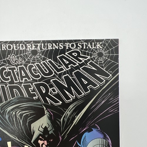 Spectacular Spider-Man #207 MARVEL Comics 1993 Mint HIGH GRADE - Picture 3 of 6