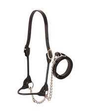 Western Black Leather Halter with Brass Fitting with Free Lead Chain