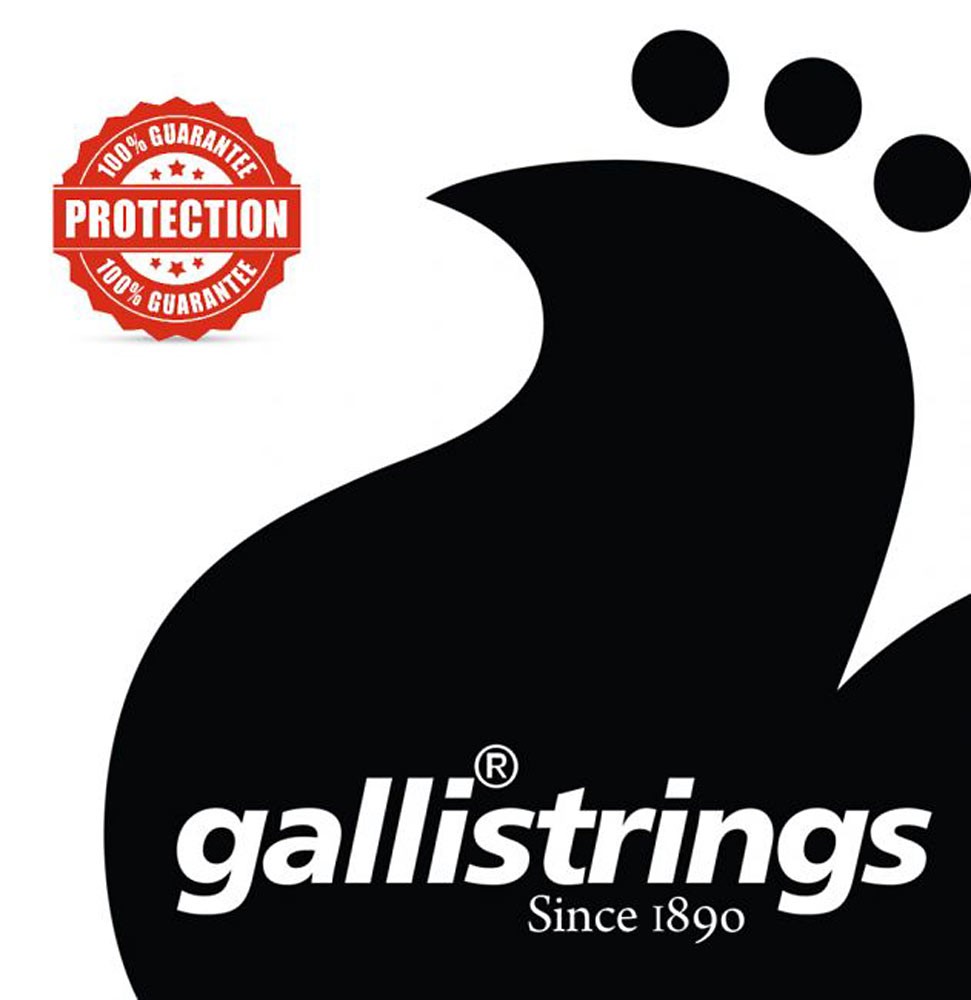 Galli LS1659 RESOPHONIC GUITAR STRINGS, G-tuning, Phosphor bronze. .016-.059
