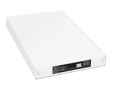 Premium Bright White Copy Paper, 8.5 x 11 inches, 20 lb, 92 Brightness, 500 S...