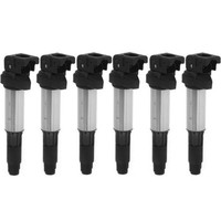6 -Spulen ZüNdung BMW E81 E87 E46 E90 E39 E91 E60 E61 E83 E53 E85 E86 E64 E65
