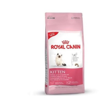 royal canin cat kitten