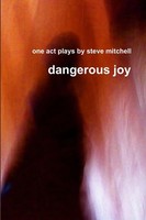 Dangerous Joy Steve Mitchell Taschenbuch Kartoniert / Broschiert Englisch 2012