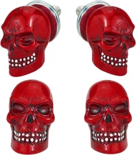 Arenbel Motorcycle License Plate Fasteners Bolts Car Tag Frame Skull Screws Moun