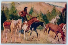 c1905 The Watering Place Native Indian Riding Horse Norristown PA Postcard