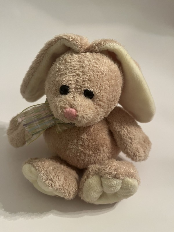 Ty Pluffies Hopson Bunny Plush 2006 Hopson Character Family MPN 1965/KR