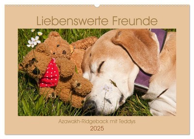 Meike Bölts | Liebenswerte Freunde - Azawakh-Ridgeback mit Teddys...