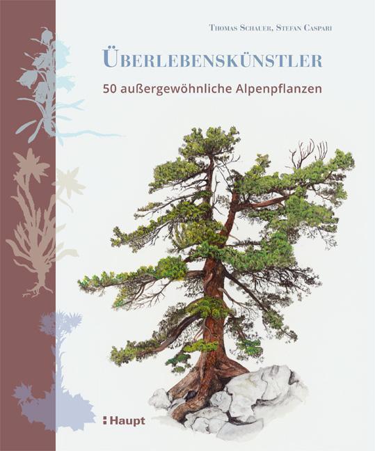 Thumbnail - Überlebenskünstler Thomas Schauer