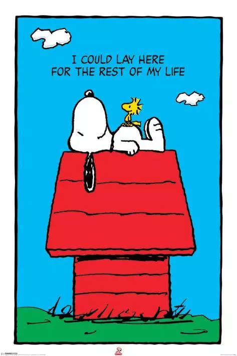 Snoopy dog house deals