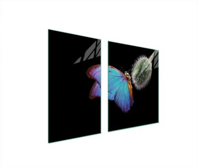 Glasplatte und Schneidebrett 100x52 Schmetterling